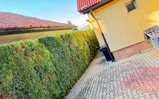 🔥 CASĂ IMPRESIONANTĂ ÎN INIMA CETĂȚII ALBA IULIA - Poză 21