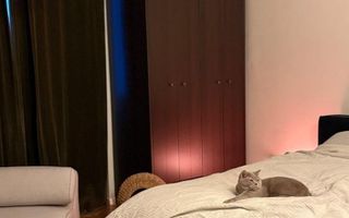 Apartament in imobil istoric, zona centrală in Cluj-Napoca, mobilat. - Poză 10