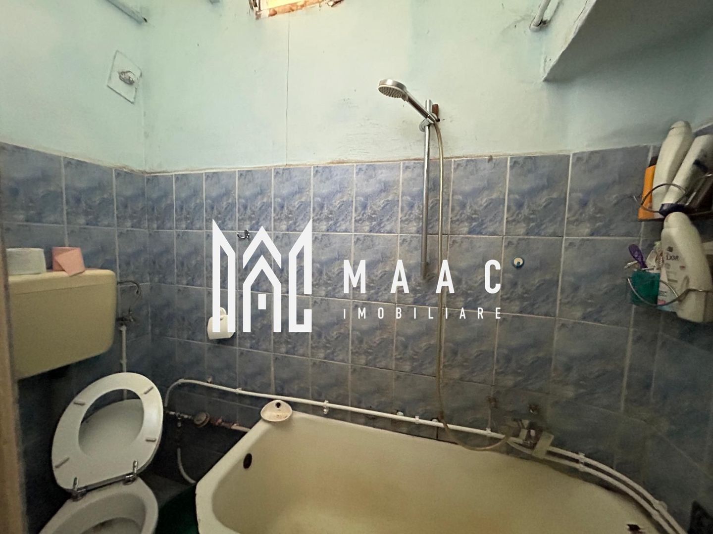 Apartament 2 Camere I Curte I Acces auto I BBQ I Sub Arini - Poză 7