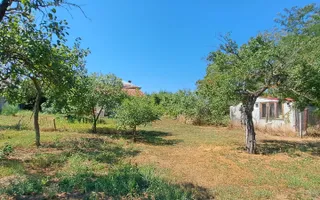 CASA DE VANZARE | 4 CAMERE | 110 MP | TEREN 2.500 MP | ROSIORI DE VEDE - Poză 12
