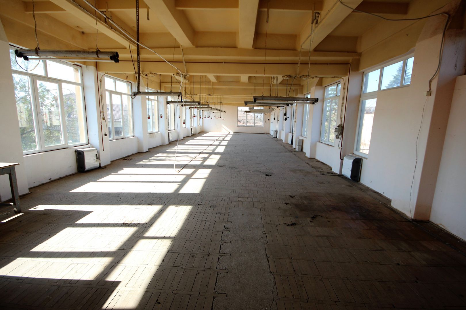 Complex industrial Periam - Poză 12