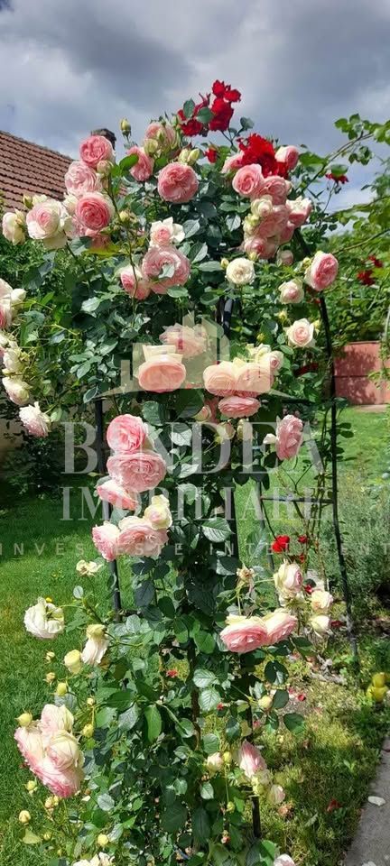 Casa individuala Central pozitionata in Dumbravita0 1147mp teren - Poză 9