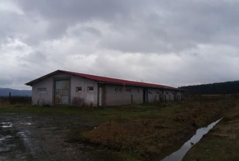 spațiu industrial Sacalaseni judet Maramures - Poză 8