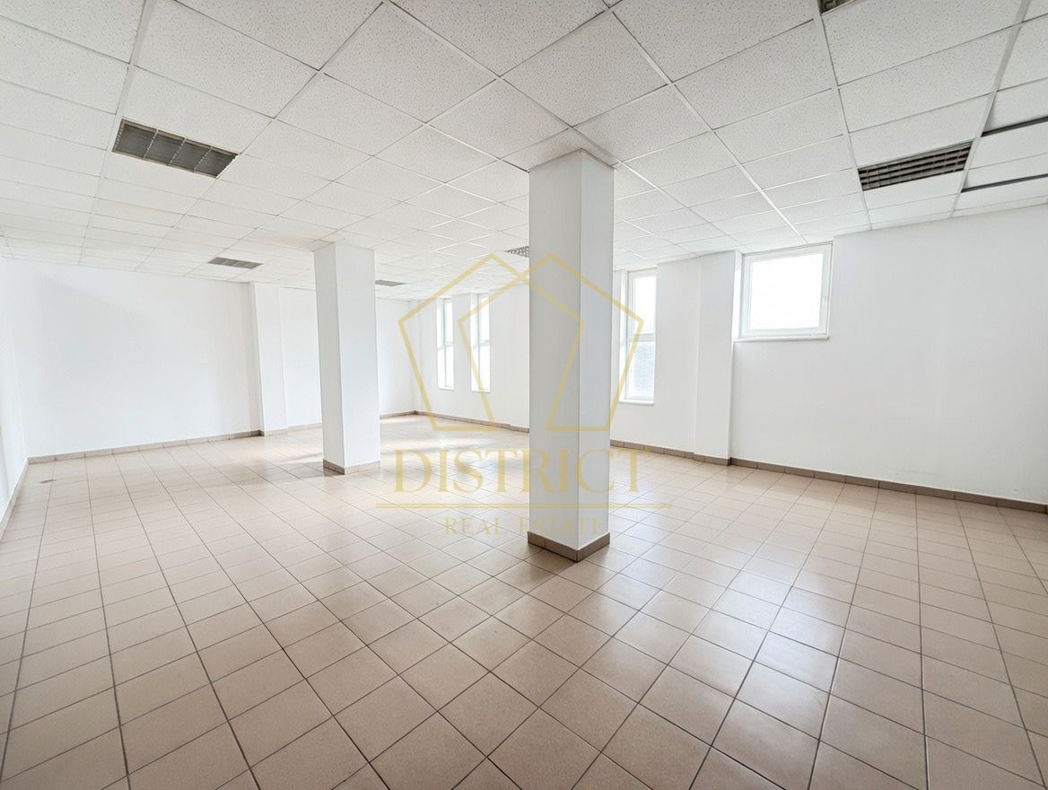 Hala industriala 4.300mp | Sagului | Timisoara | - Poză 4