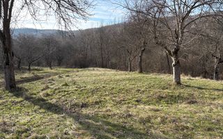 Teren  extravilan I 5300 mpI  Salatrucel -Calimanesti - Poză 6