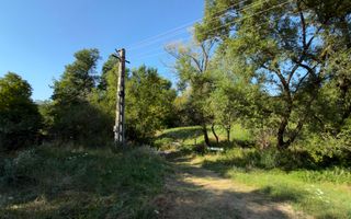 Teren Parau | Valea Danului, Curtea de Arges | Vidraru | - Poză 10
