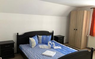 Casa de vacanta 6 camere sau oportunitate de investitie in Paltinis - Poză 9