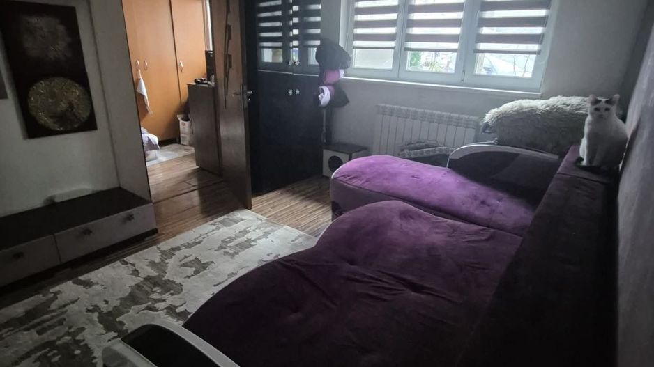 Apartament Valea Rosie - Poză 5