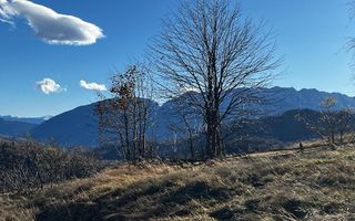 Teren extravilan 2ha, priveliste panoramica spre munti /Poiana Marului - Poză 6