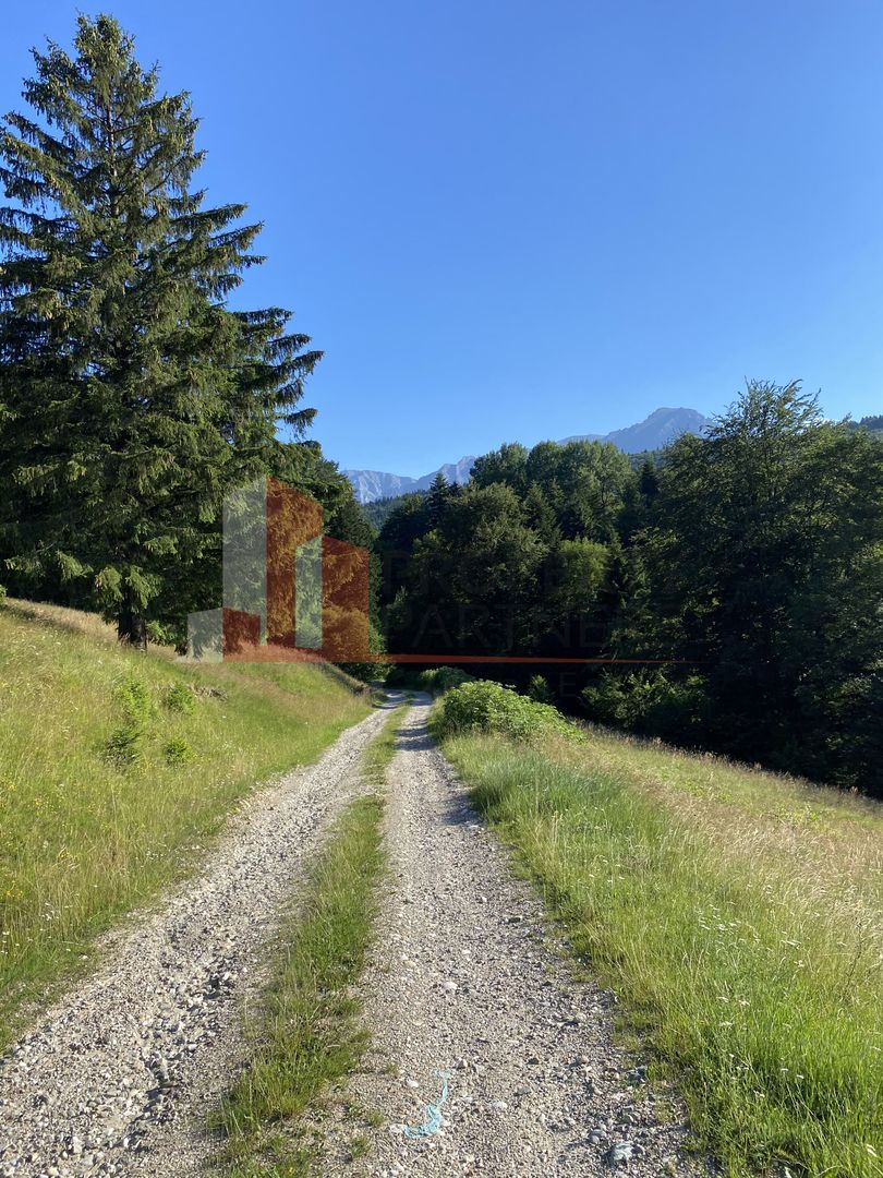 Teren 14400 mp la iesire din Rasnov inspre Pârâul Rece-Trei Brazi - Poză 11