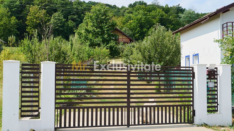Doua CASE in aceeasi curte–BABANA, ARGEȘ | 1.485 MP TEREN - Poză 1