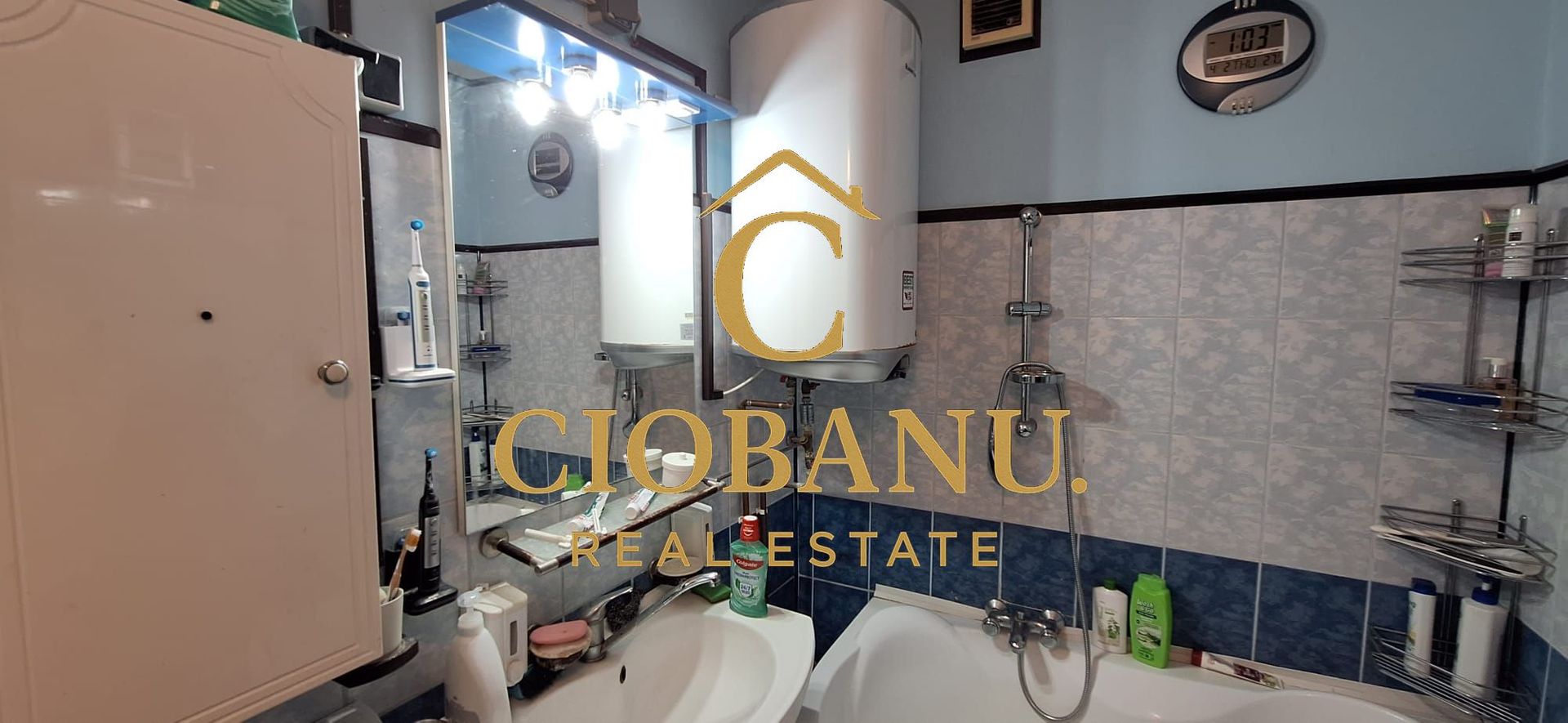 Apartament 3 camere de vanzare zona Gradina Botanica - Poză 3