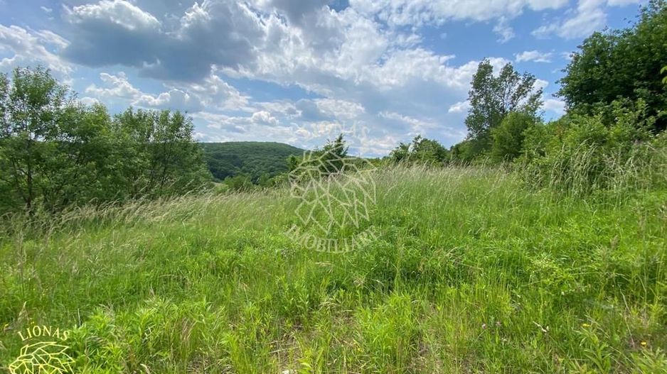 Teren intravilan 2800 mp cu utilitati-ideal case-Valea Ghinzii - Poză 6