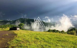 CASĂ și TEREN 85.000 mp – Casa părintească Părintele Arsenie Boca - Poză 14