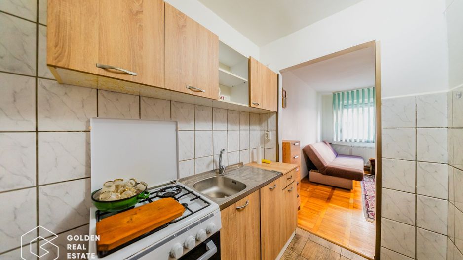 Garsoniera zona Uta-Cocorilor la parter - Poză 6