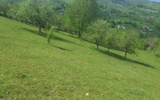 Poiana Sohodol I 5600 MP I Trei corpuri cladiri I Utilitati - Poză 10