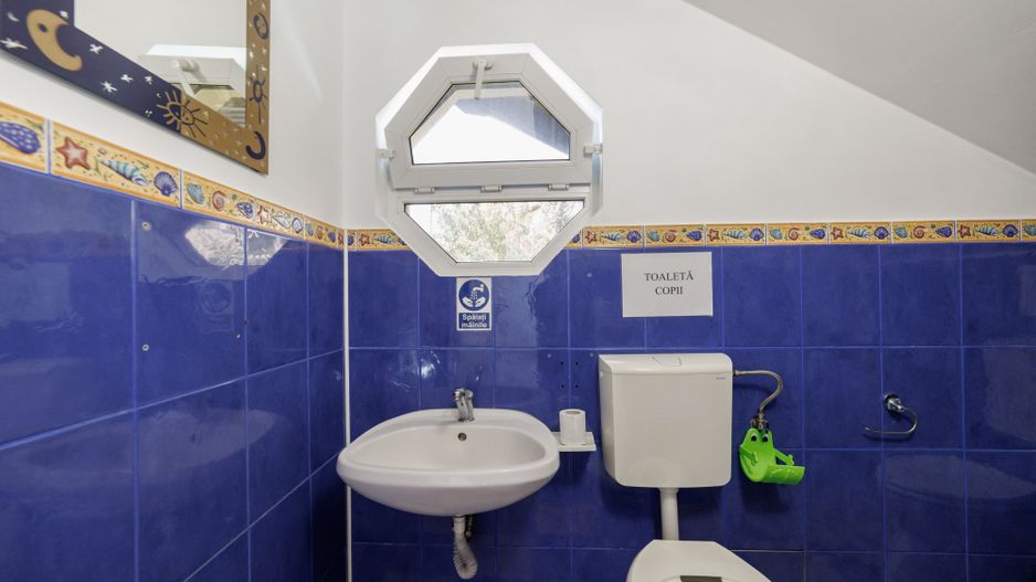 Proprietate multifunctionala | Doua cladiri | 581 mp | Pitesti - Poză 8