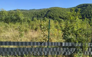 Vand Teren intravilan - Poză 13