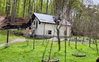 Casa 4 Camere | 600 MP Teren | Avrig - Poză 1