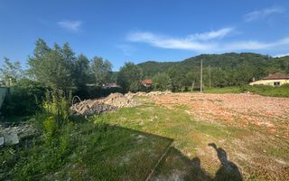 TEREN INTRAVILAN 3296 MP CAMPULUNG ARGEȘ - Poză 6