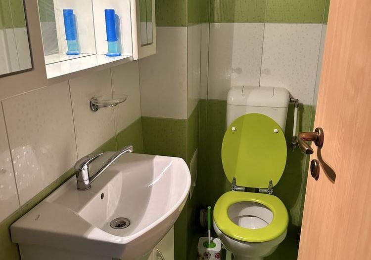 Apartament decomandat Lapus Electroputere Mall - Poză 6