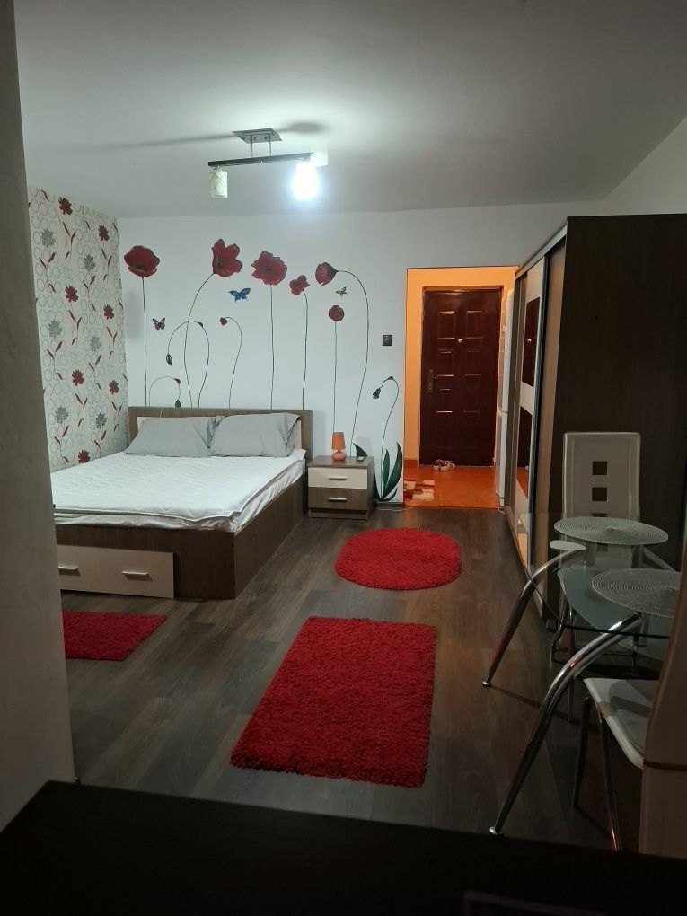 Garsoniera- Lapus - Poză 7