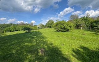 TEREN INTRAVILAN 2943 MP CAMPULUNG - Poză 7