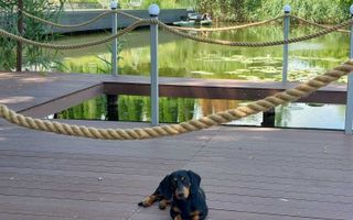 Vila cu ponton la lacul Snagov - Poză 5