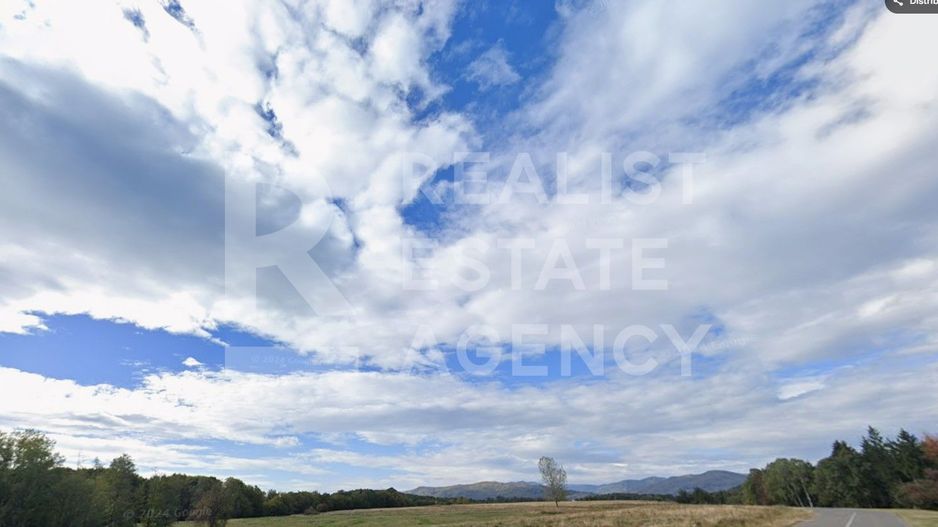 Teren intravilan 4,2 ha de vânzare| ideal investiție| POT 40%| Teișani - Poză 6