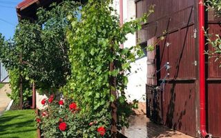 Vila - parter + mansarda -   Sendreni,  jud. Galati - Poză 5