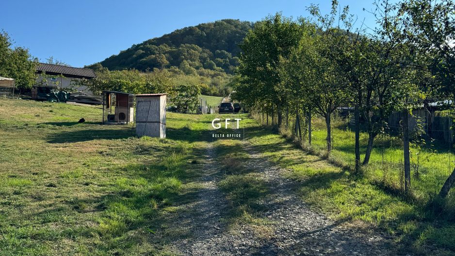 Teren de vanzare, Valea Ghinzii, parcele de 5-6 ari - Poză 10