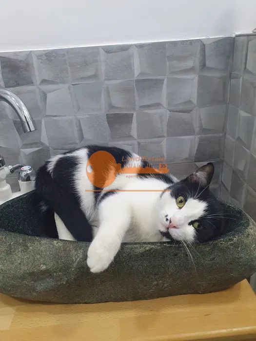 Apartament 4 camere Berceni - Poză 8