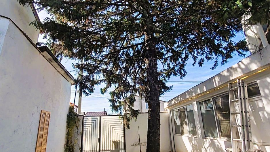 Spațiu birouri & Depozitare în Jilava – Ideal Firme, Magazin on-line - Poză 40