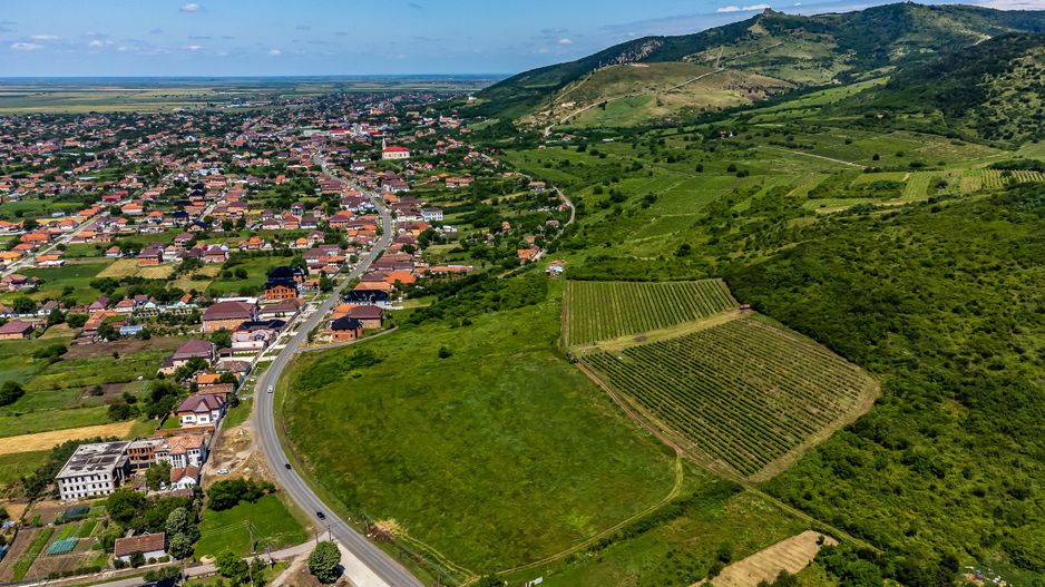 PRET REDUS Oportunitate de afacere, Teren cu vita de vie - Poză 4