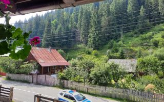 Pensiune in Muntii Apuseni 10 camere 1007 mp teren - Poză 14