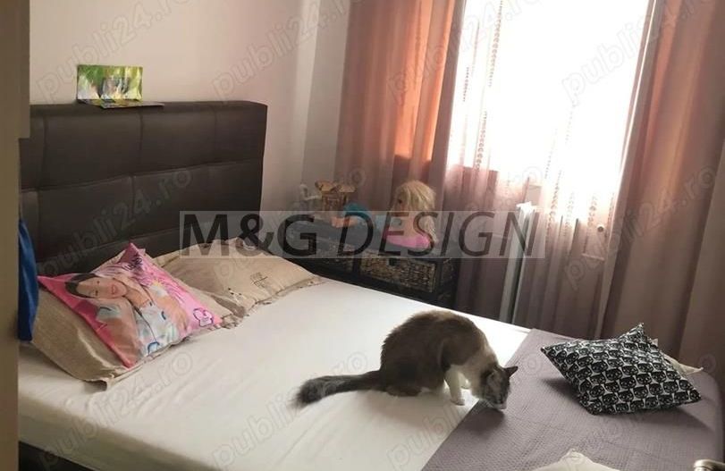 3 camere modificat in 2 camere Sagului - Poză 5