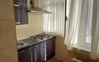 De închiriat apartament cu 3 camere, etaj 1, Siderurgistilor, 400 euro - Poză 19