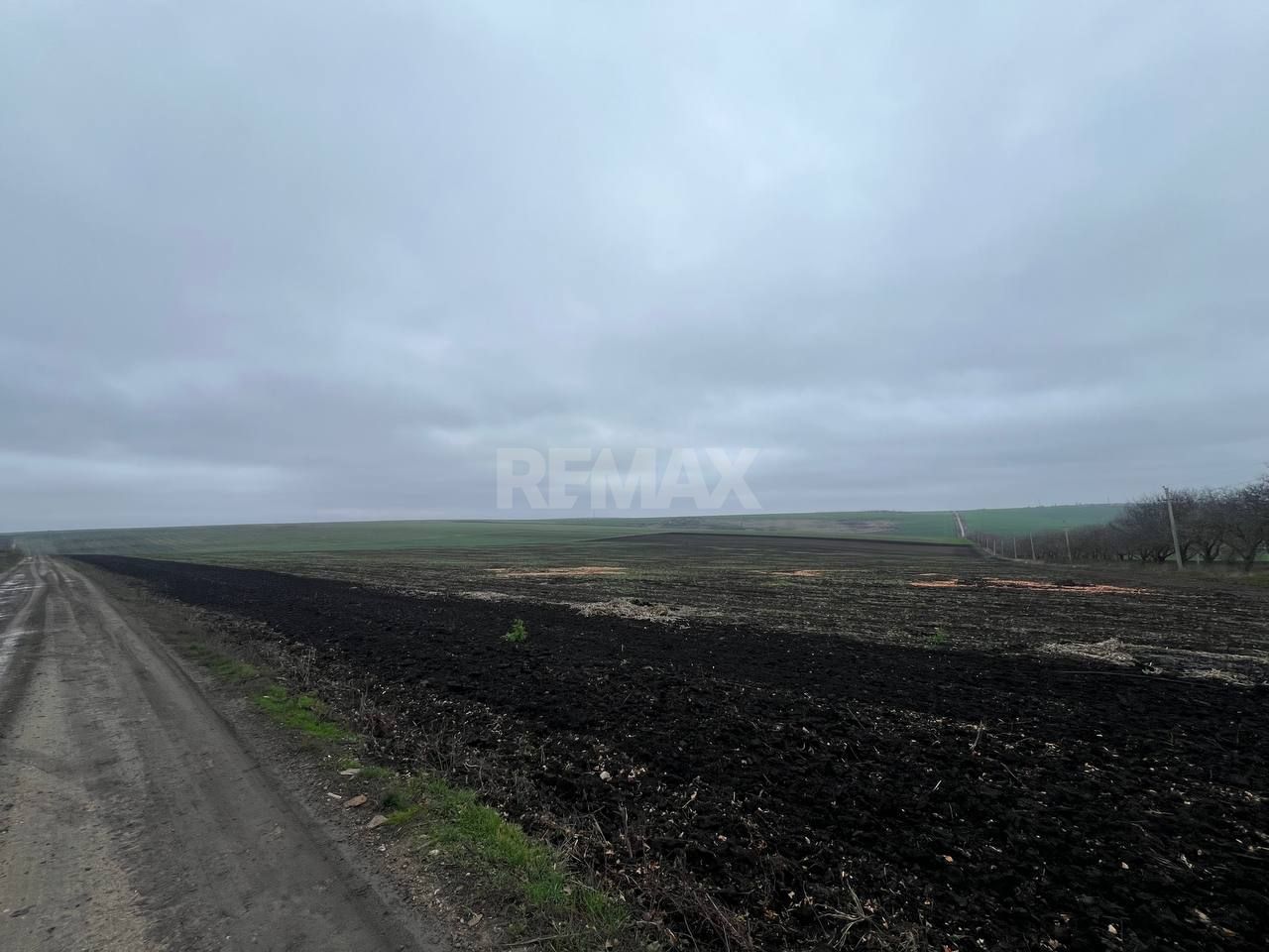 Teren Agricol 13,57 HA com. Cruzești mun. Chișinău - Poză 11