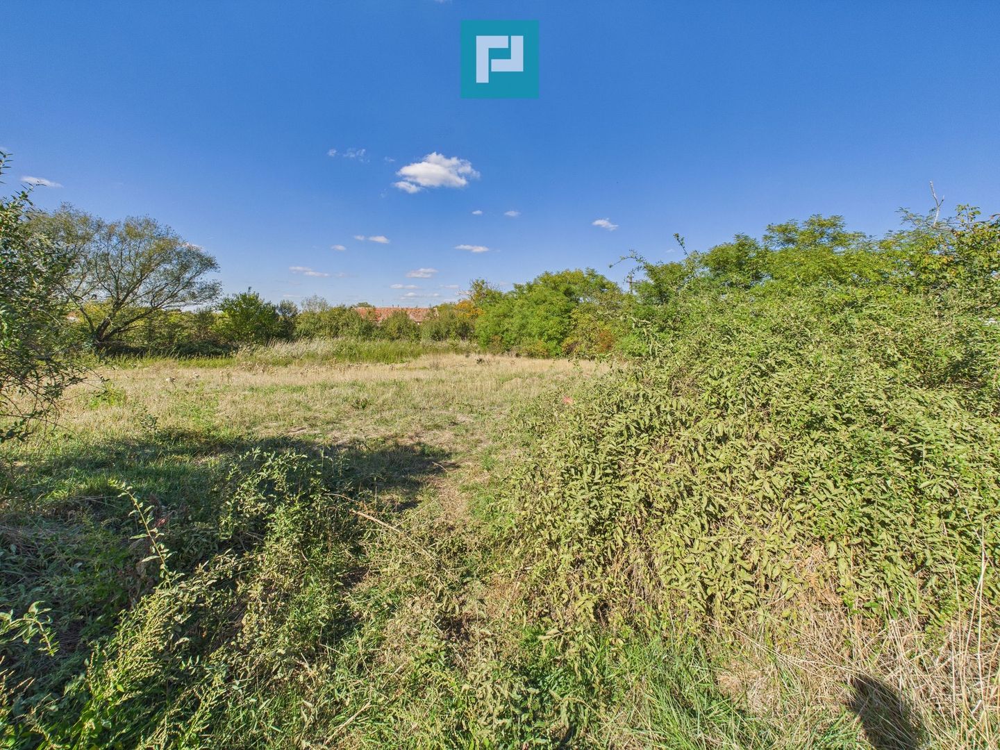 Teren intravilan 6115mp pentru investiții Firiteaz - Poză 7