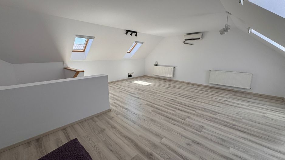 Vila Volutari 5 Camere Matei Millo - Poză 19