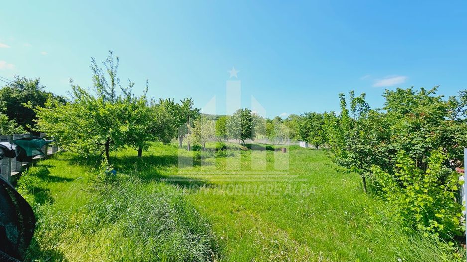 Teren intravilan de vanzare, Micesti - Poză 2