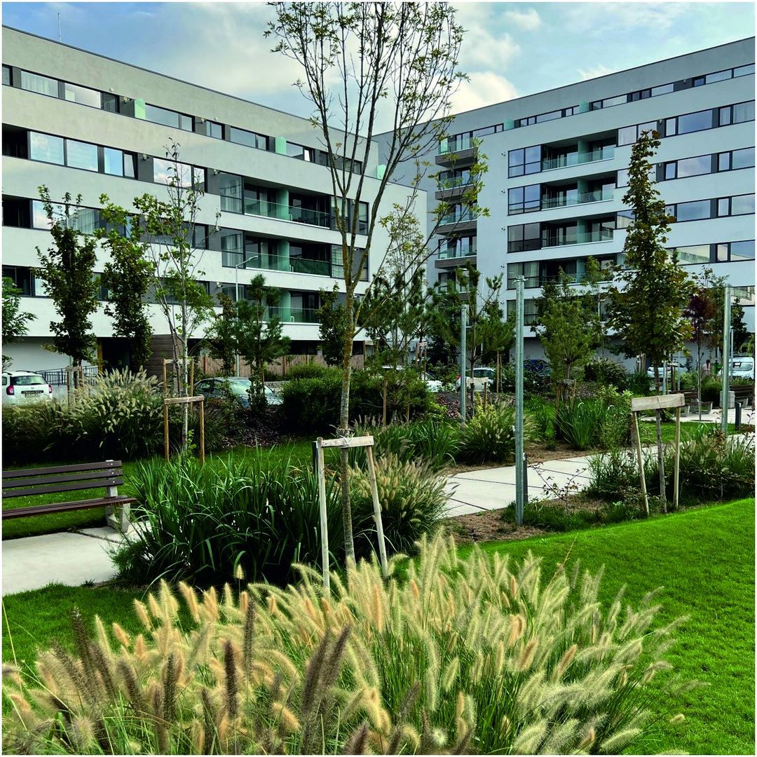 Apartament 3 camere de vanzare - Poză 7