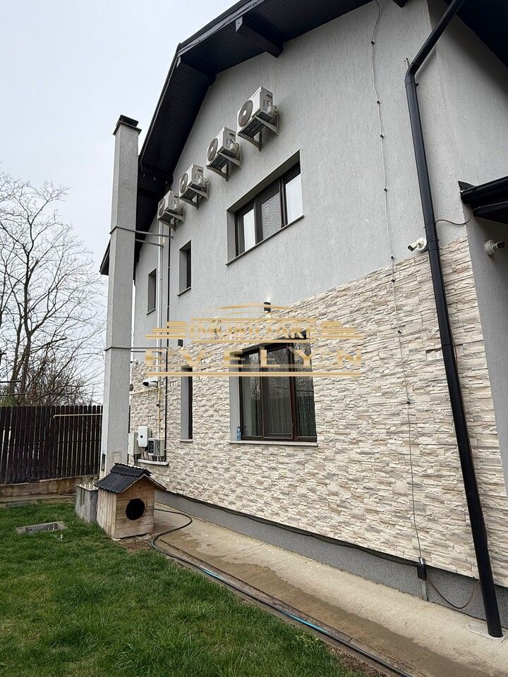 Casă P+1 de vânzare – Sat Băiceni, Com. Curtești - Poză 3