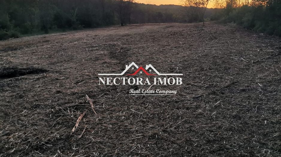 NECTORA IMOB-Loturi de teren 500 mp,Zona Saldabagiu de Munte-Lac Paleu - Poză 5