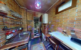 Casă de vânzare în Sânpetru Vechi - singur în curte, garaj, foișor - Poză 11