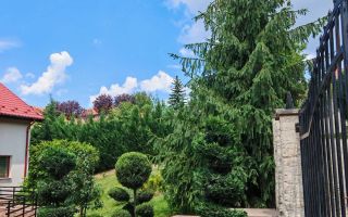 Casa individuala 240 utili, 850 teren, 2 garaje, zona Eugen Ionesco - Poză 3