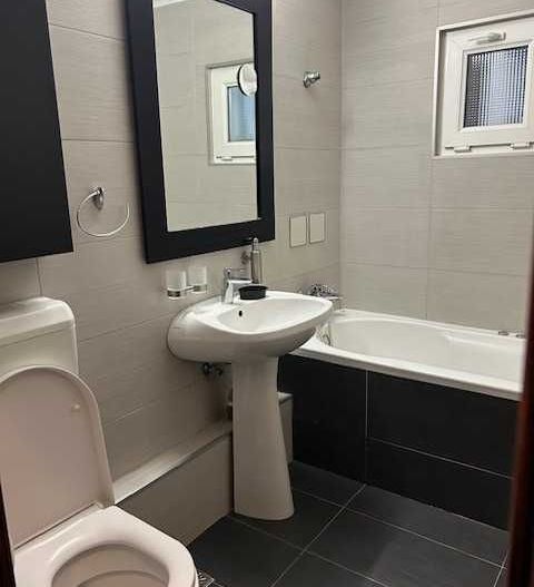 De închiriat apartament 3 camere Olteniței – Parcul Natural Văcărești - Poză 7