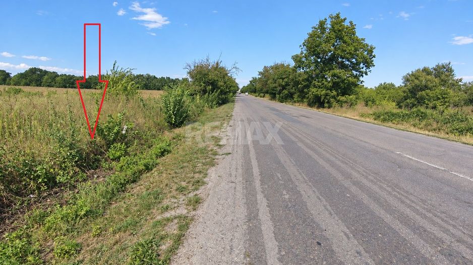 Teren pentru constructii de 19 Ari în Chetrosu, Anenii Noi – Ideal pentru Investiții! - Poză 5