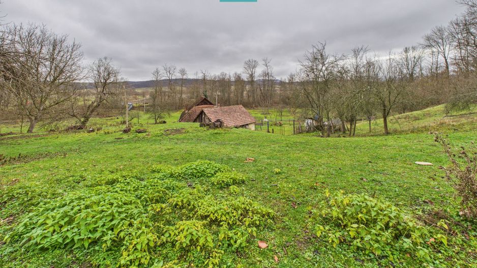 Casă cu teren de 24.679,73 mp, în Hălmagiu, Arad - Poză 15