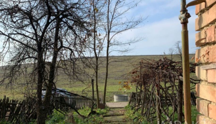 De vânzare casă + teren 30 ari - Silivașu de Câmpie, - Poză 11